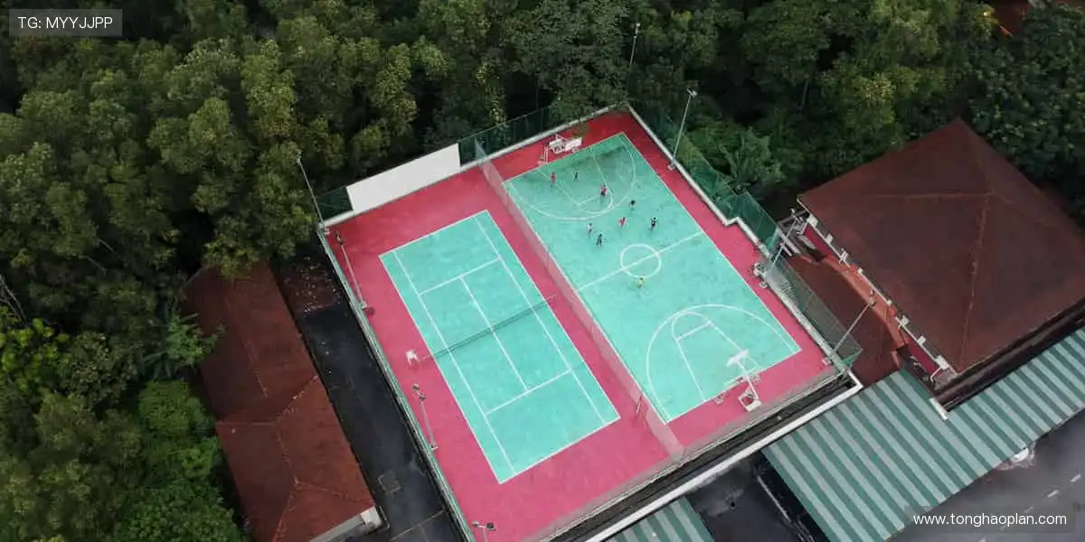 🚀 点击即达,开启你的体育梦想之旅!✨